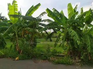 3 Katha Plot Near 150 Ft Road, Purbachal Sector 28