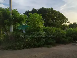 রাজউক পূর্বাচল সেক্টর ২৮: ১০০ ফুট রাস্তার কাছে কর্নার ৩ কাঠা প্লট