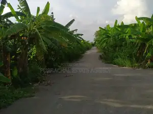 রাজউক পূর্বাচল সেক্টর ২৮: ১০০ ফুট রাস্তার কাছে কর্নার ৩ কাঠা প্লট