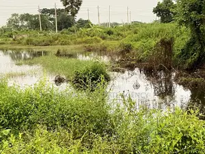 ঝিলের কাছে দক্ষিণমুখী ১০ কাঠা জমি - পূর্বাচল সেক্টর ৮