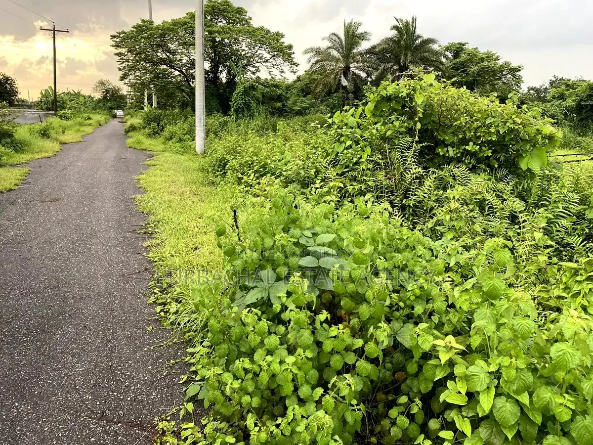 3 Katha South-Facing Plot Near 100 Ft Road, Purbachal Sector 8