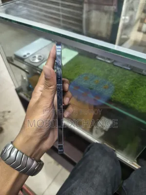 অ্যাপল আইফোন ১৩ প্রো ম্যাক্স ৫১২ জিবি নীল