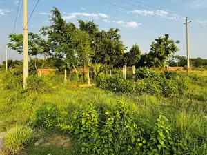 3 Katha Plot Near Park - Purbachal Sec 15