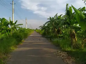 3 Katha Plot Near 100 Ft Road - Purbachal Sec 28