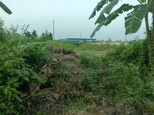 ১৫০ ফুট রাস্তার কাছে: পূর্বাচল সেক্টর ২৩-এ ৫ কাঠার কর্নার প্লট