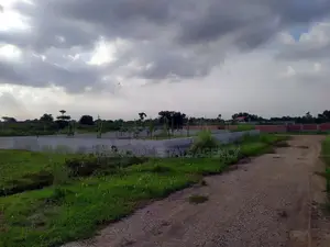 রাজউক পূর্বাচল সেক্টর ১১: ৫৭ ফুট রাস্তার উপর ৫ কাঠার প্লট