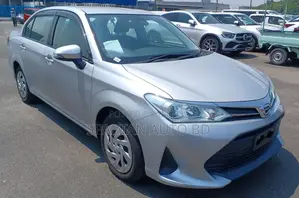 Toyota Axio 2021 Silver