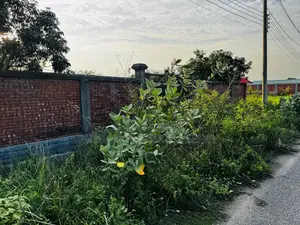 3 Katha Plot Near Lake & Park, RAJUK Purbachal Sector 15