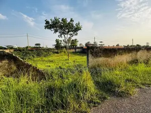 প্লেগ্রাউন্ড এবং বাজারের কাছে দক্ষিণমুখী ৫ কাঠা জমি - পূর্বাচল সেক্টর ১৮