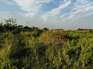 ১০০ ফুট রাস্তা এবং খেলার মাঠের কাছে কর্নার ৩ কাঠা প্লট - পূর্বাচল সেক্টর ২০