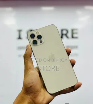 অ্যাপল আইফোন ১২ প্রো ম্যাক্স ২৫৬ জিবি গোল্ড
