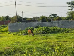 বাজার এবং খেলার মাঠের কাছে ৩ কাঠা প্লট - পূর্বাচল সেক্টর ২১