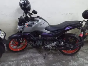 ইয়ামাহা এফজেডএস ভি৪ ২০২৫ গ্রে