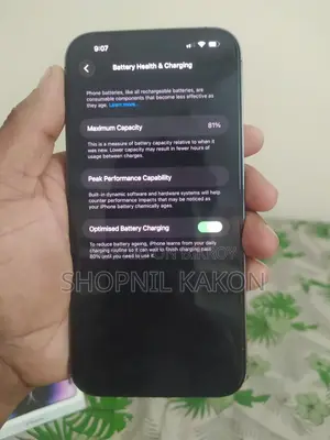 অ্যাপল আইফোন ১৪ প্রো ম্যাক্স ২৫৬ জিবি নীল