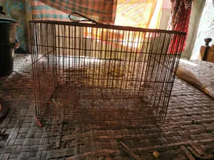 এক পিছ খাঁচা বিক্রি করবো