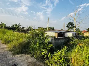 স্কুল ও মসজিদের কাছে: ৫ কাঠা জমি, পূর্বাচল সেক্টর ১৩