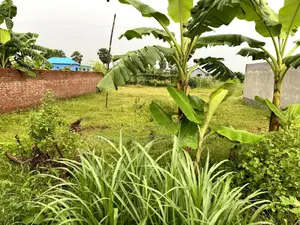 পূর্বাচল সেক্টর ২৭ এ ৩ কাঠা উত্তরমুখী জমি - কাগজপত্র ঠিক আছে