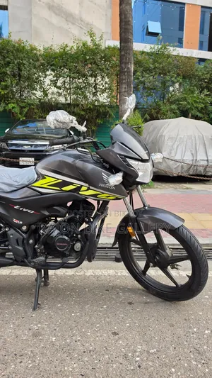 New Honda Livo 2024 Gray