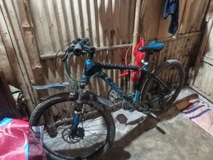 Bicycle Bicycle