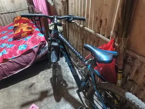 Bicycle Bicycle