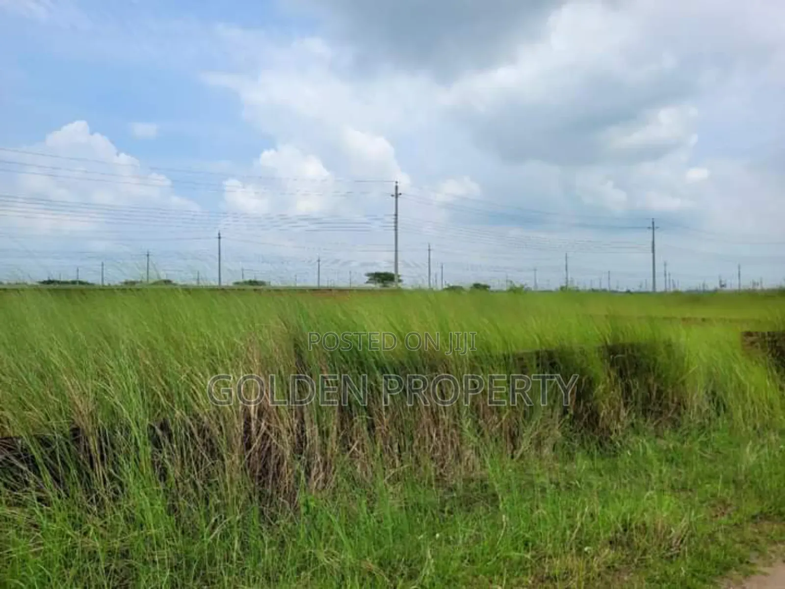 N Block 3 Katha South Facing Plot Sale Bashundhara RA