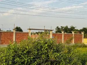 Near 75 Ft Road & Lake: 5 Katha South-Facing Plot, Purbachal Sector 25