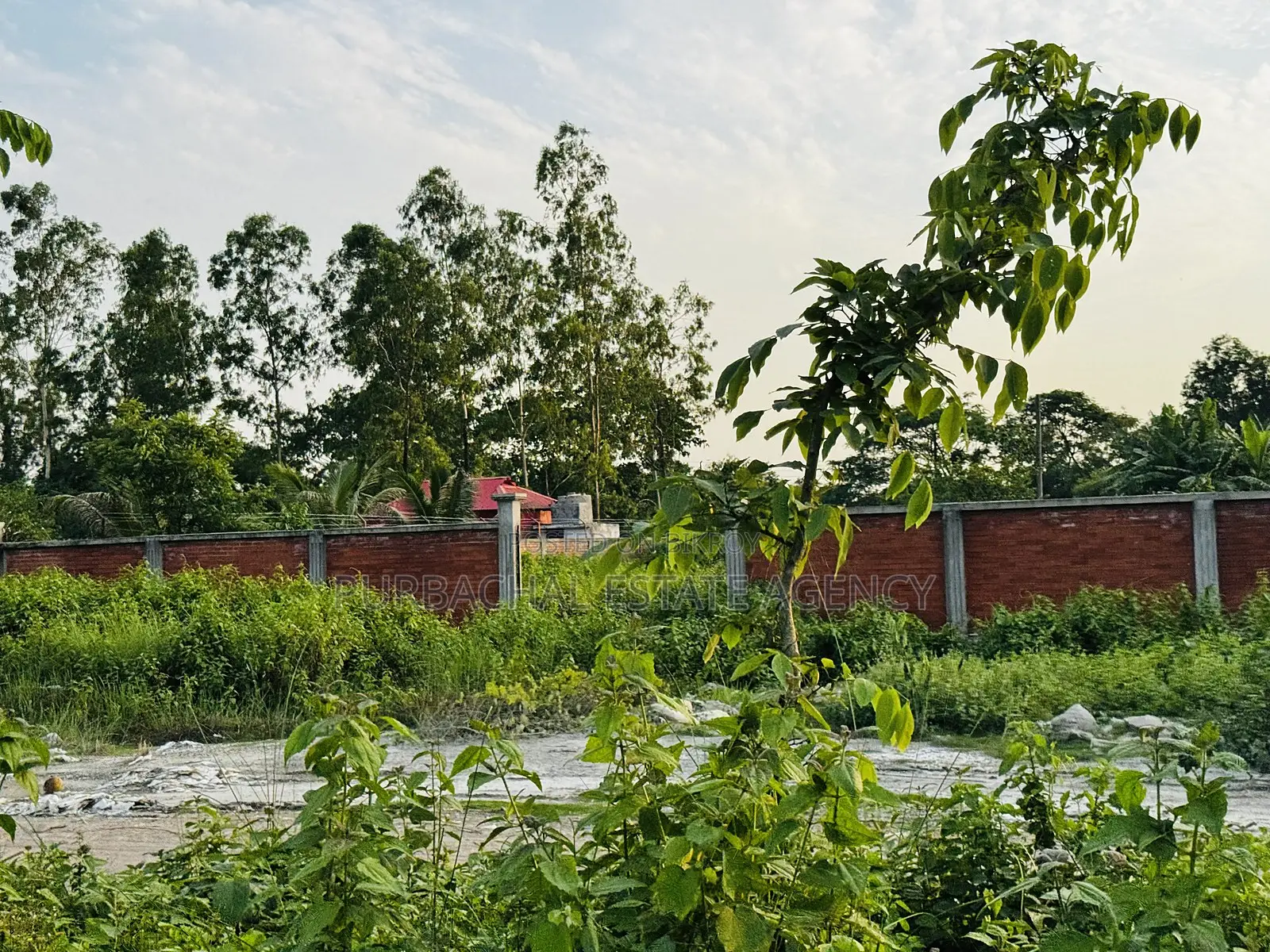 4.93 Katha Corner Plot Near Forest, RAJUK Purbachal Sector 24