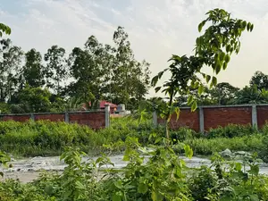 বনের কাছে ৪.৯৩ কাটা কর্নার প্লট, রাজউক পূর্বাচল সেক্টর ২৪