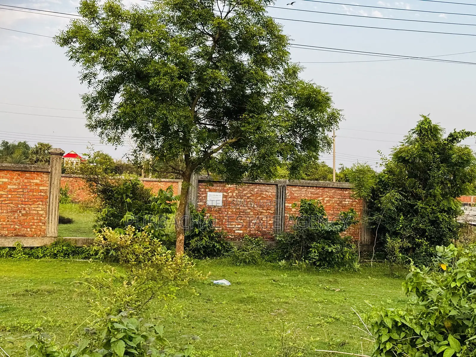 4.93 Katha Corner Plot Near Forest, RAJUK Purbachal Sector 24