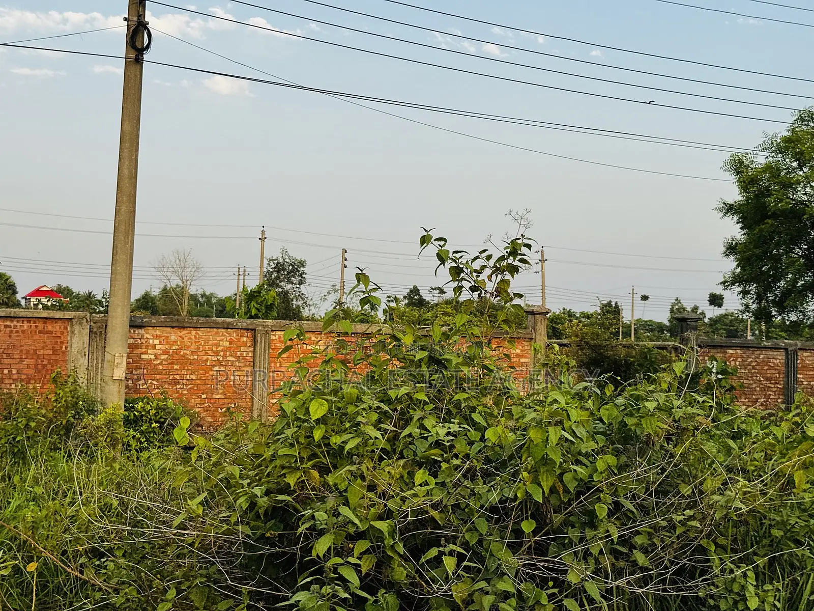 5 Katha Plot Near Playground & 75 Ft Road, Purbachal Sector 20