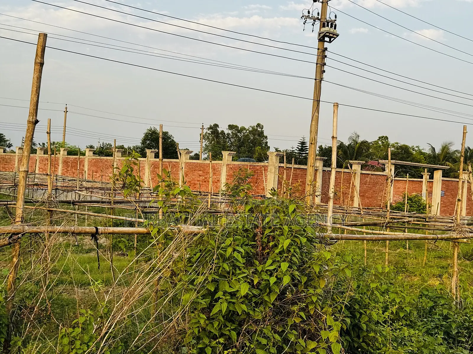 5 Katha Plot Near 75 Ft Road & 100 Ft Road, Purbachal Sector 26