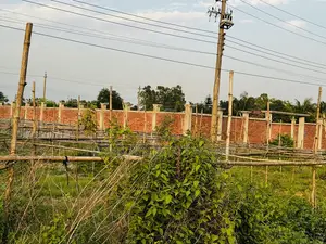 5 Katha Plot Near 75 Ft Road & 100 Ft Road, Purbachal Sector 26