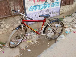 সাইকেলটা খুবই ভালো নেবে না চালাবেন