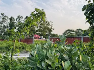 রাজউক পূর্বাচল সেক্টর ২৫, খেলার মাঠ ও বনের কাছে ৫ কাঠা প্লট