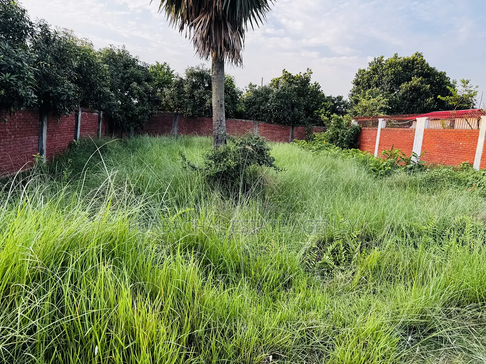 5 Katha Plot Near Playground & Forest, RAJUK Purbachal Sector 25