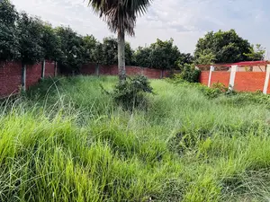 5 Katha Plot Near Playground & Forest, RAJUK Purbachal Sector 25