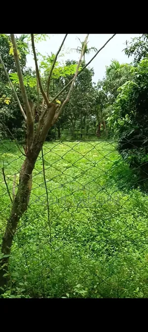 ৭৬ শতাংশ জমি বিক্রি হইবে।
