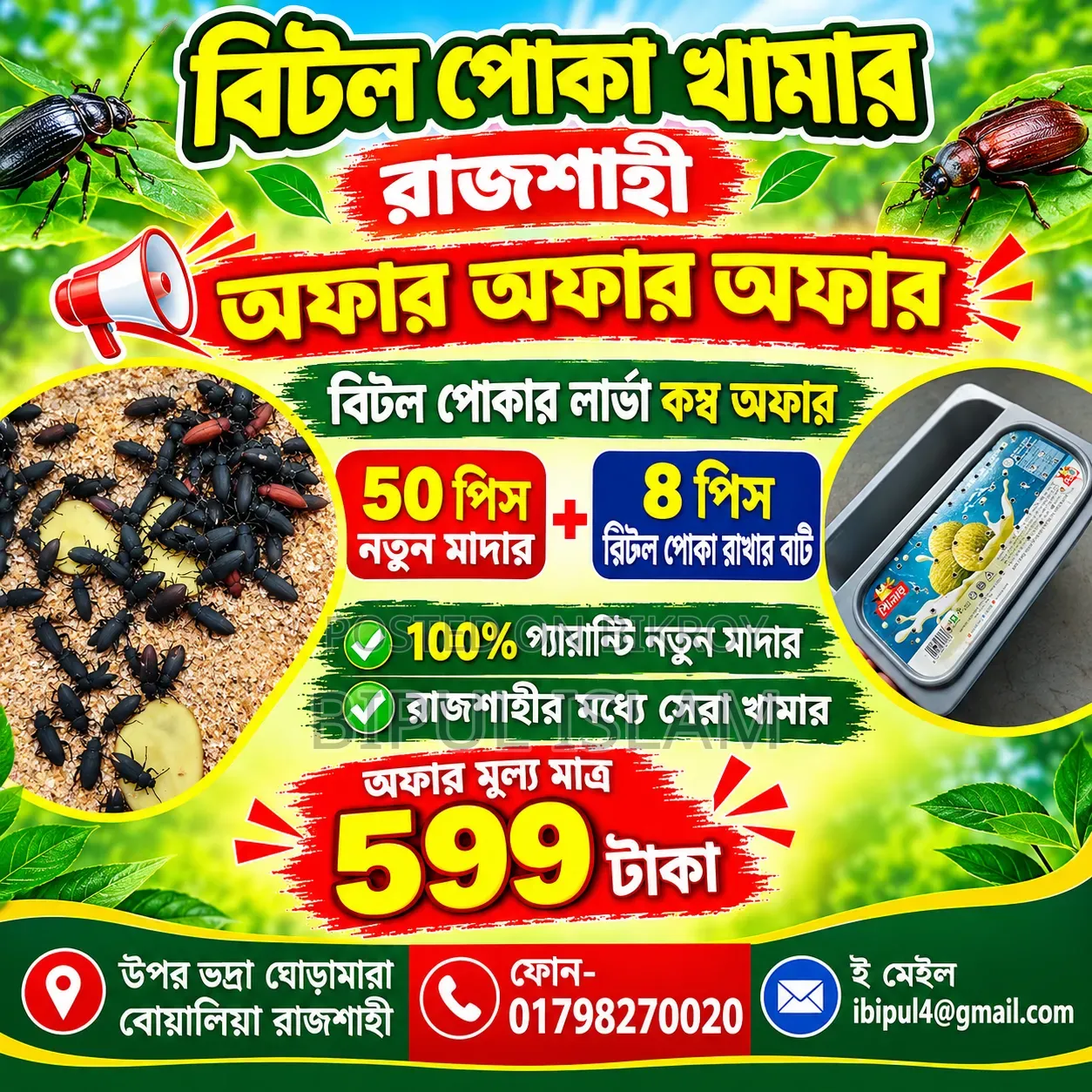 বিটল পোকার মাদার