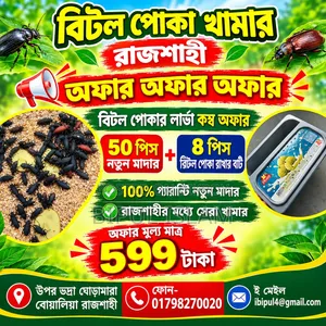 বিটল পোকার মাদার