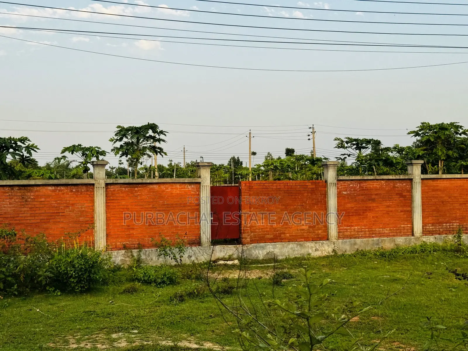 Quiet 5 Katha Plot Between Two Play Areas, RAJUK Purbachal Sector 13