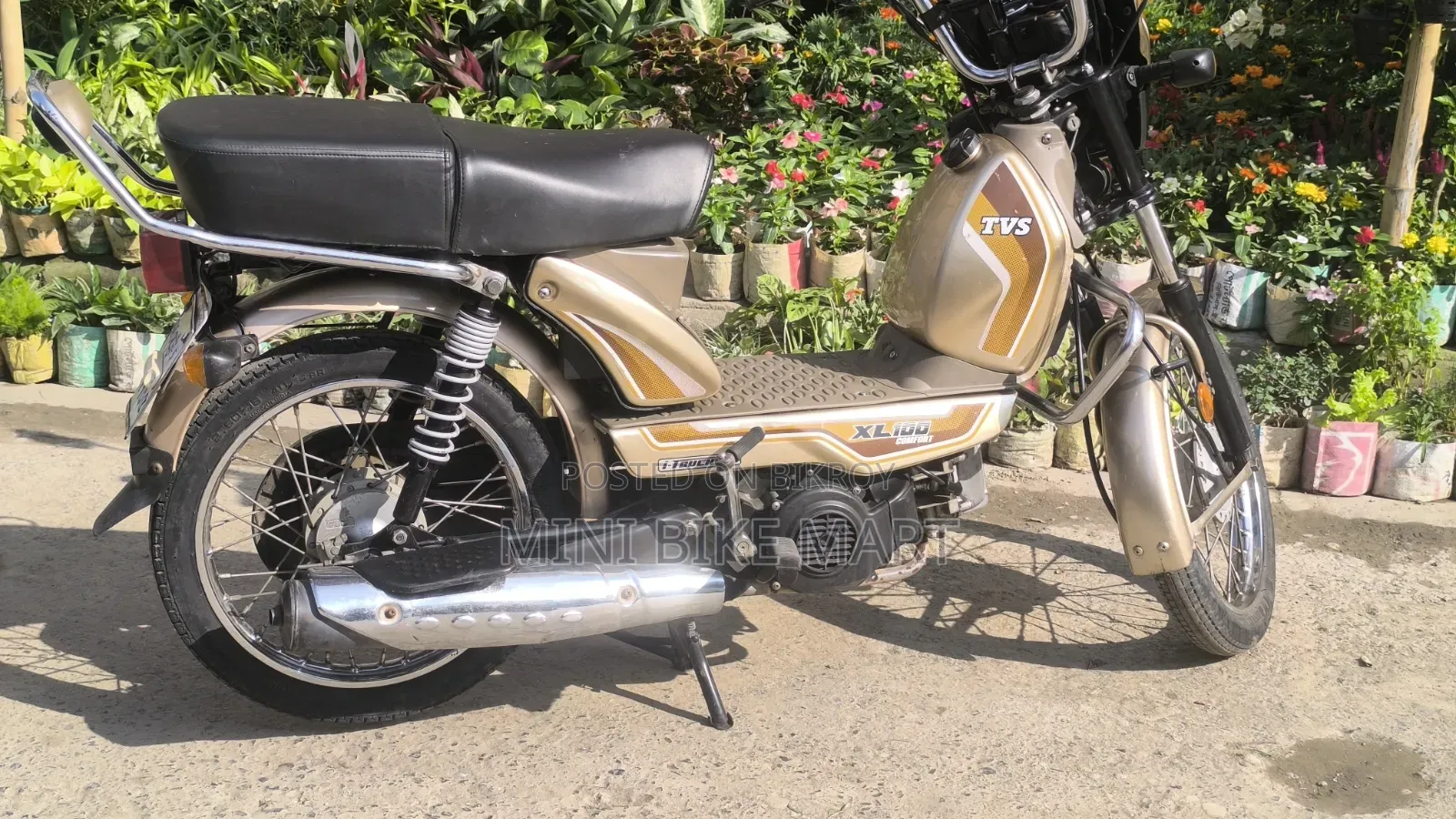 টিভিএস এক্সএল ১০০ কমফোর্ট ২০২২ সিলভার