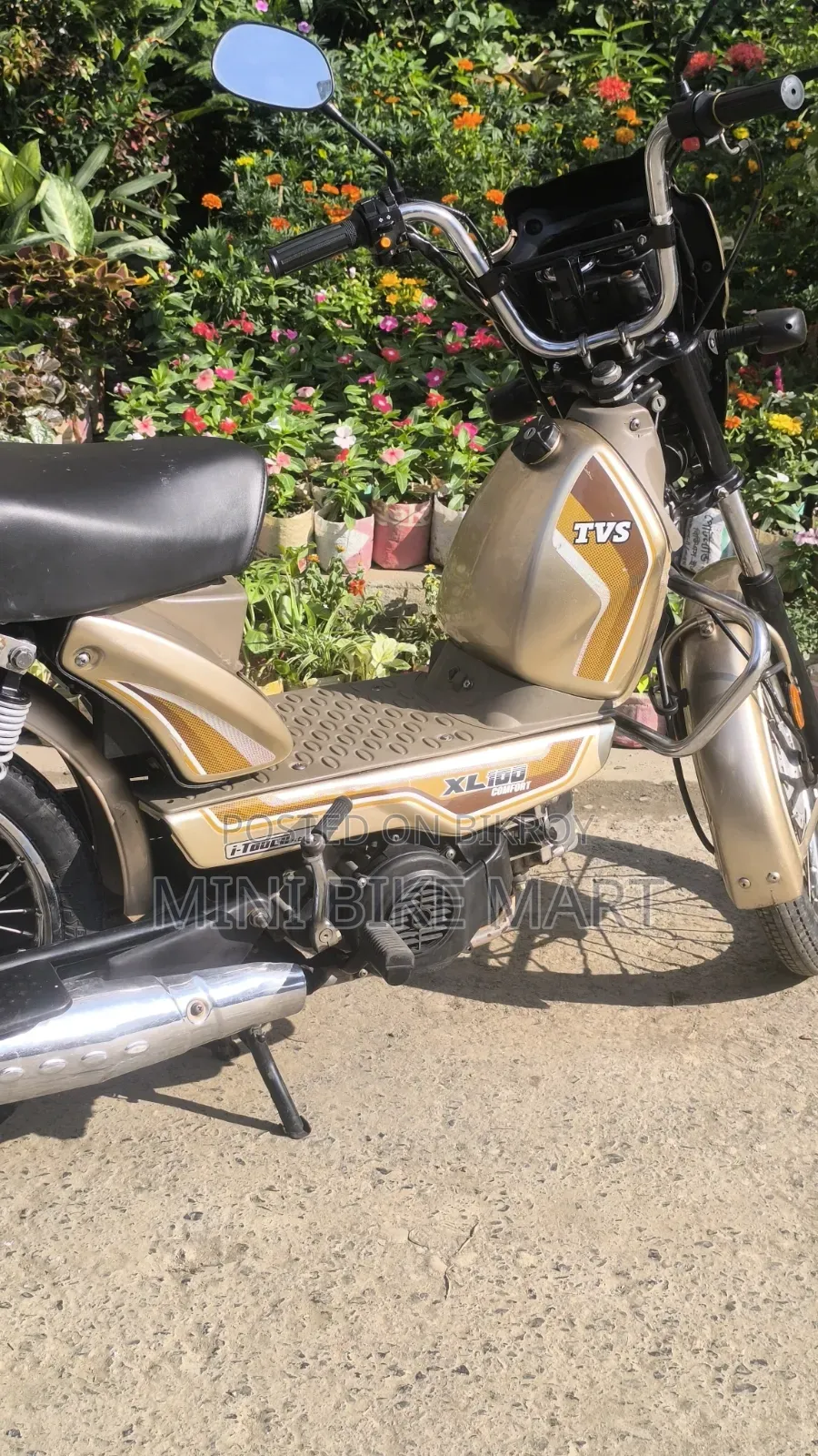 টিভিএস এক্সএল ১০০ কমফোর্ট ২০২২ সিলভার