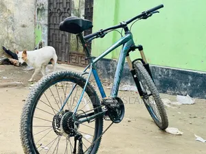Veloce Cycle Model- 605