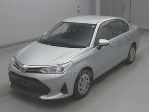 Toyota Axio 2021 Silver