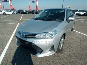 Toyota Axio 2021 Silver
