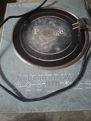 Electric Infrared Cooker