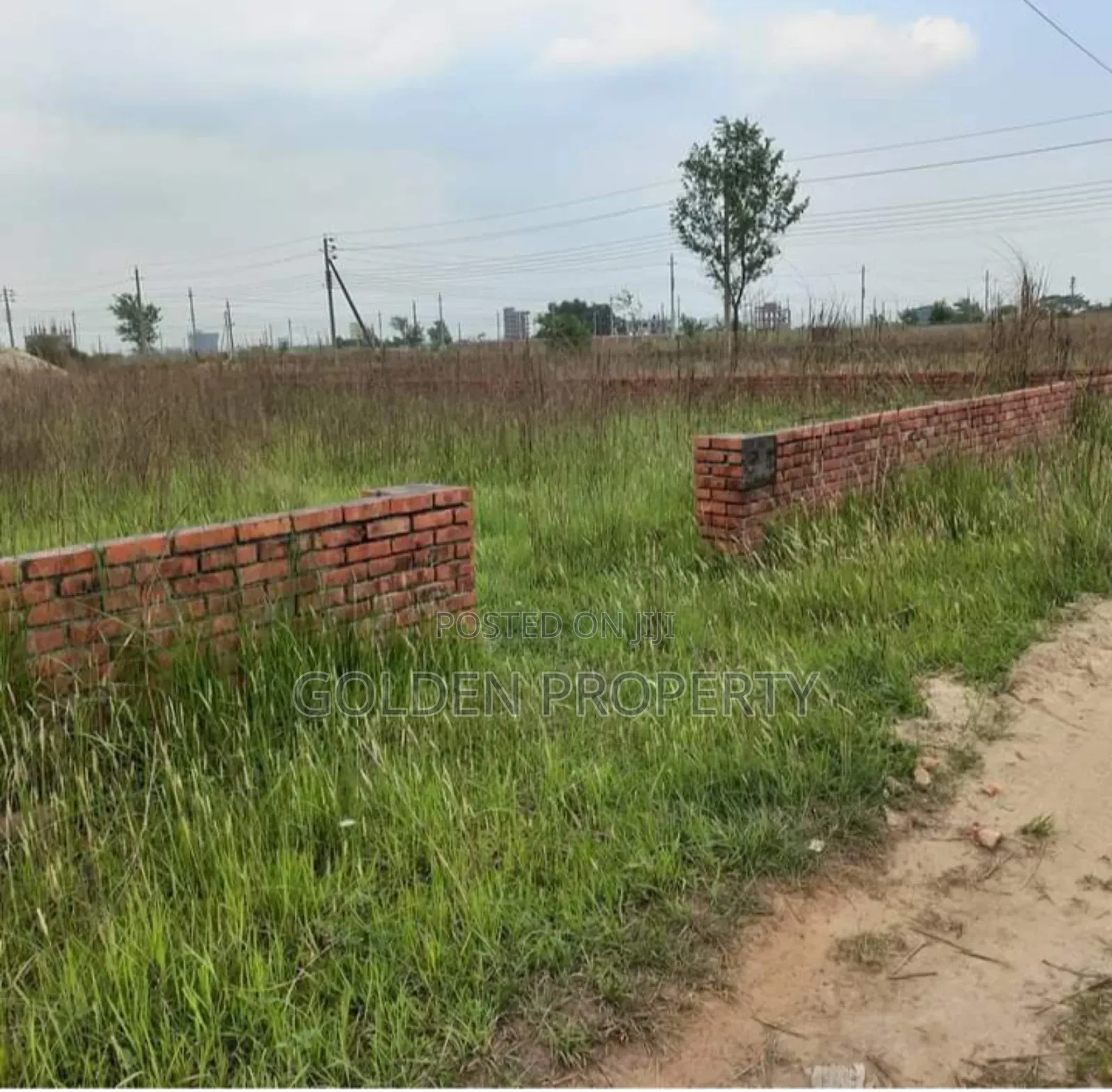 M Block 5 Katha Plot for Sale Bashundhara Ra