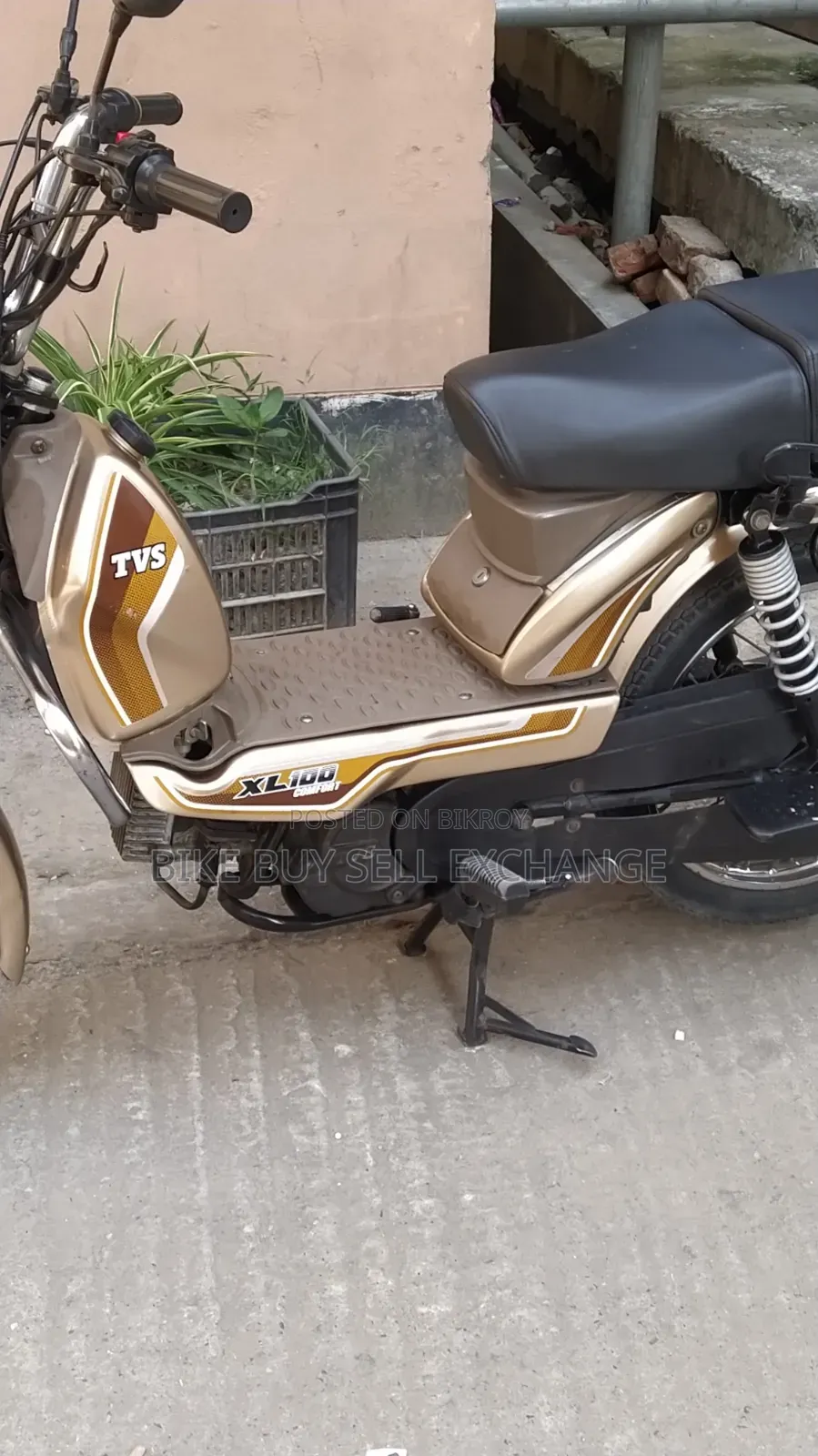 TVS XL 100 Comfort 2022 Purple