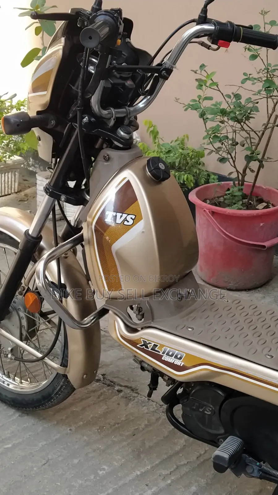 TVS XL 100 Comfort 2022 Purple