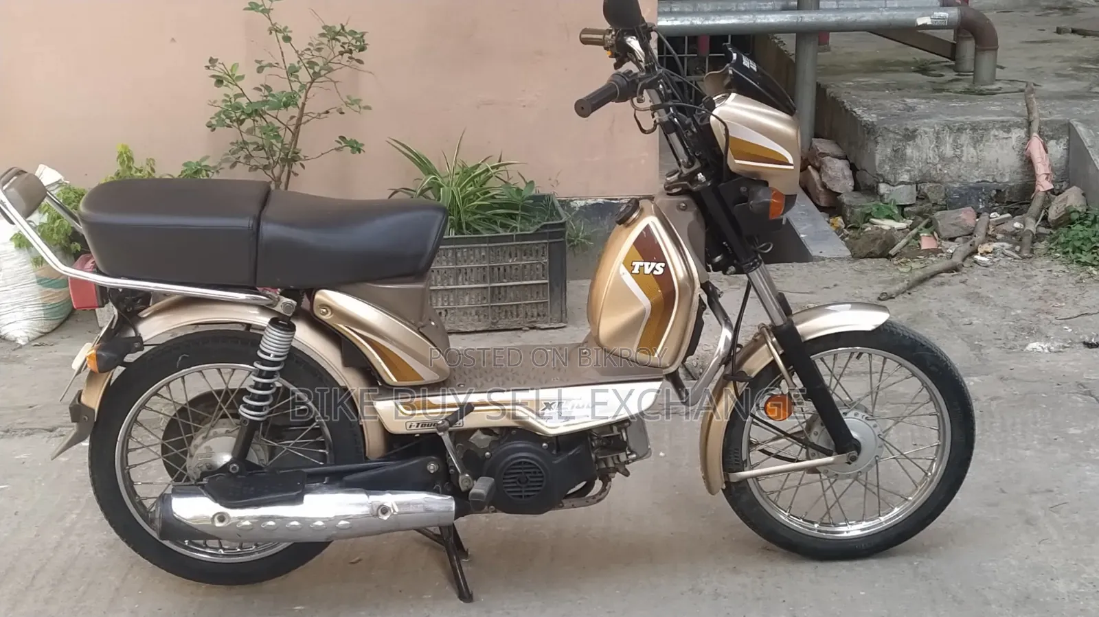 TVS XL 100 Comfort 2022 Purple